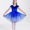 Variation picture for Royal Blue